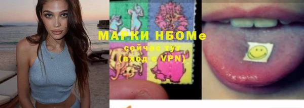 молекула духа Карпинск